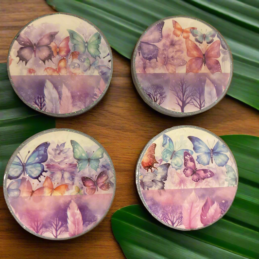 Butterflies & Feathers